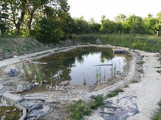 teich2